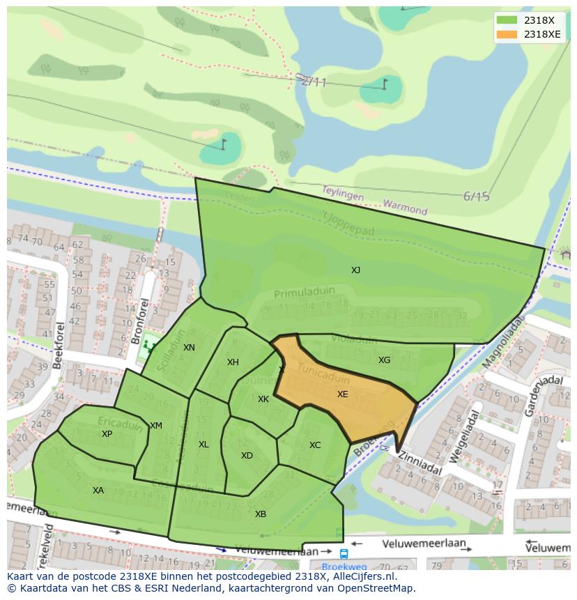 Afbeelding van het postcodegebied 2318 XE op de kaart.