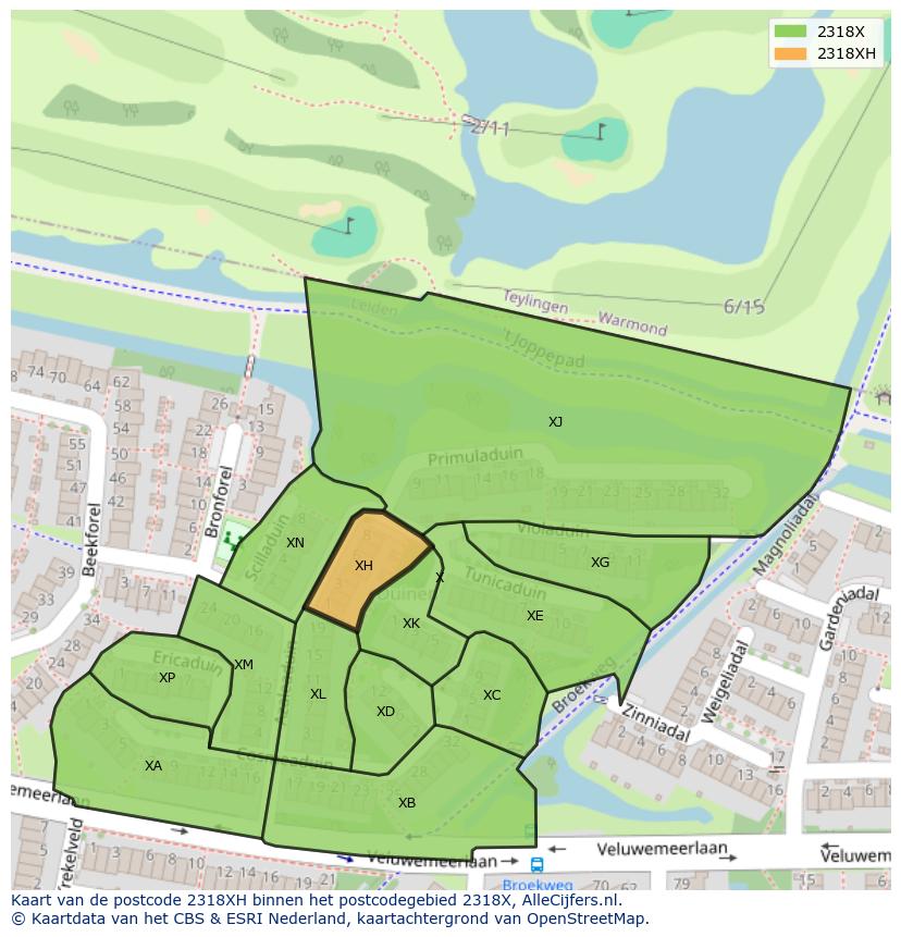 Afbeelding van het postcodegebied 2318 XH op de kaart.