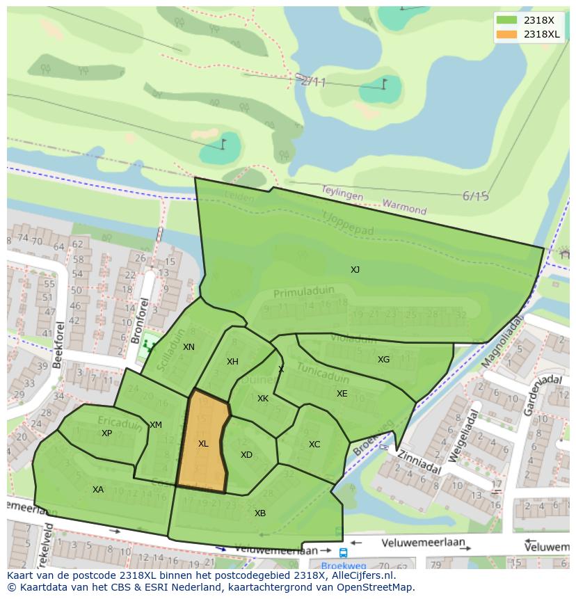 Afbeelding van het postcodegebied 2318 XL op de kaart.