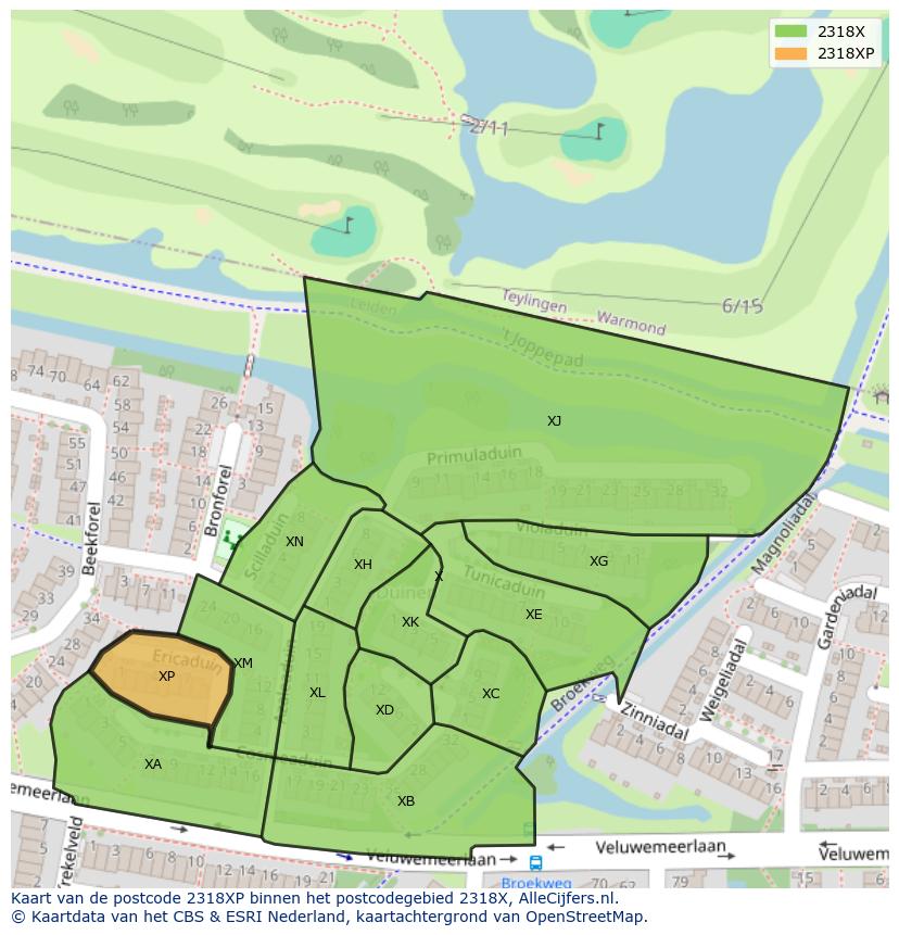 Afbeelding van het postcodegebied 2318 XP op de kaart.