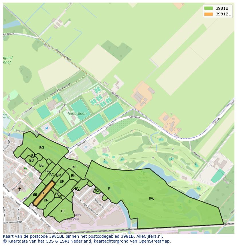 Afbeelding van het postcodegebied 3981 BL op de kaart.
