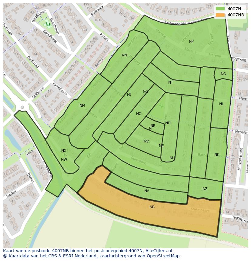 Afbeelding van het postcodegebied 4007 NB op de kaart.