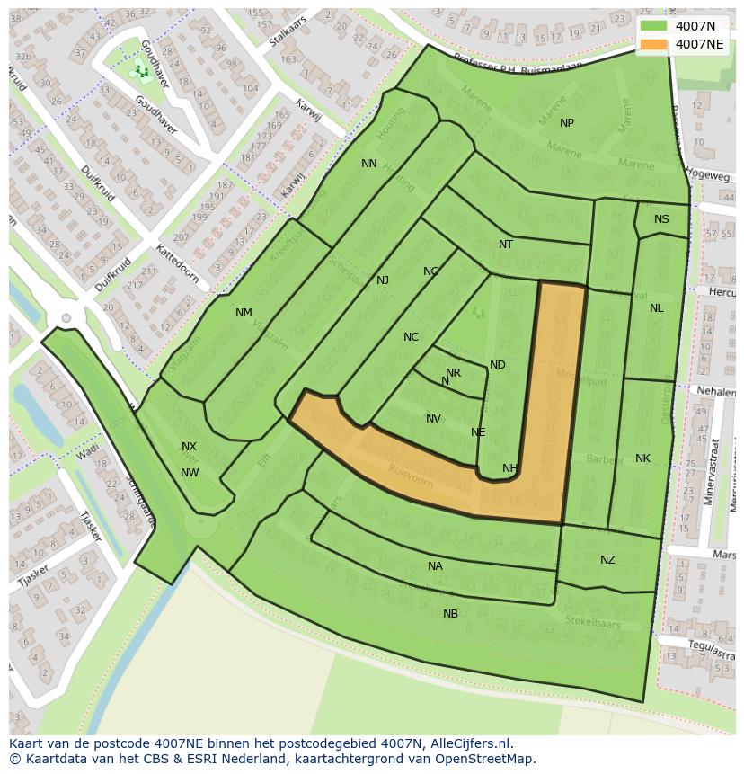 Afbeelding van het postcodegebied 4007 NE op de kaart.