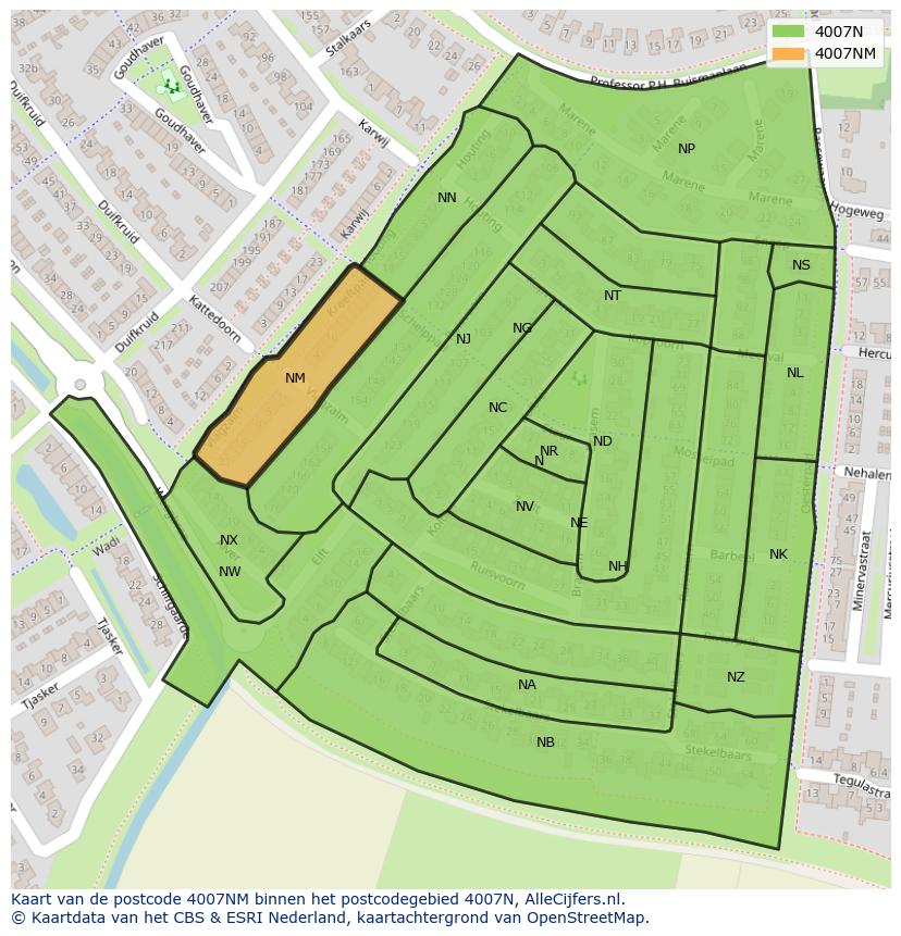 Afbeelding van het postcodegebied 4007 NM op de kaart.