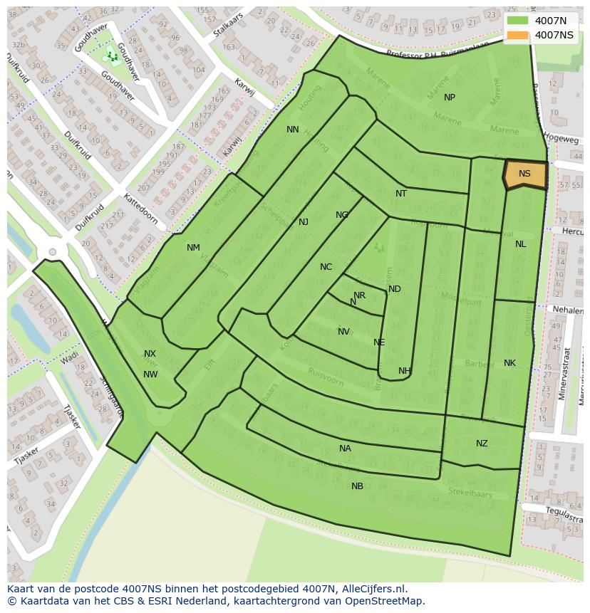 Afbeelding van het postcodegebied 4007 NS op de kaart.
