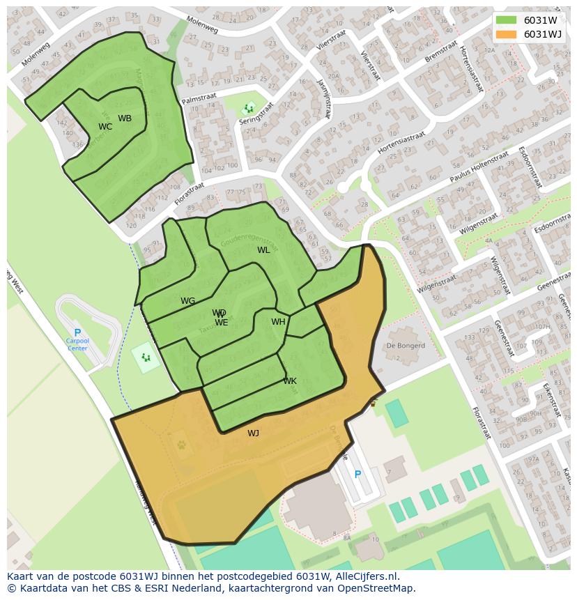 Afbeelding van het postcodegebied 6031 WJ op de kaart.