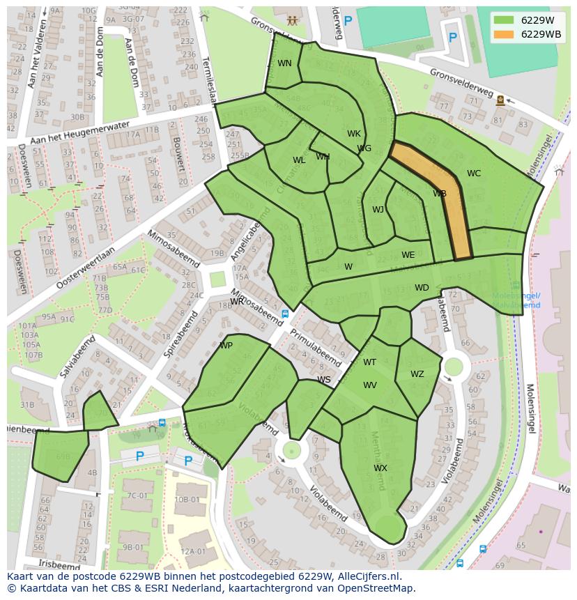 Afbeelding van het postcodegebied 6229 WB op de kaart.