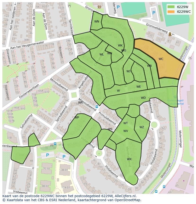 Afbeelding van het postcodegebied 6229 WC op de kaart.