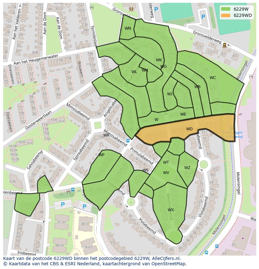 Afbeelding van het postcodegebied 6229 WD op de kaart.