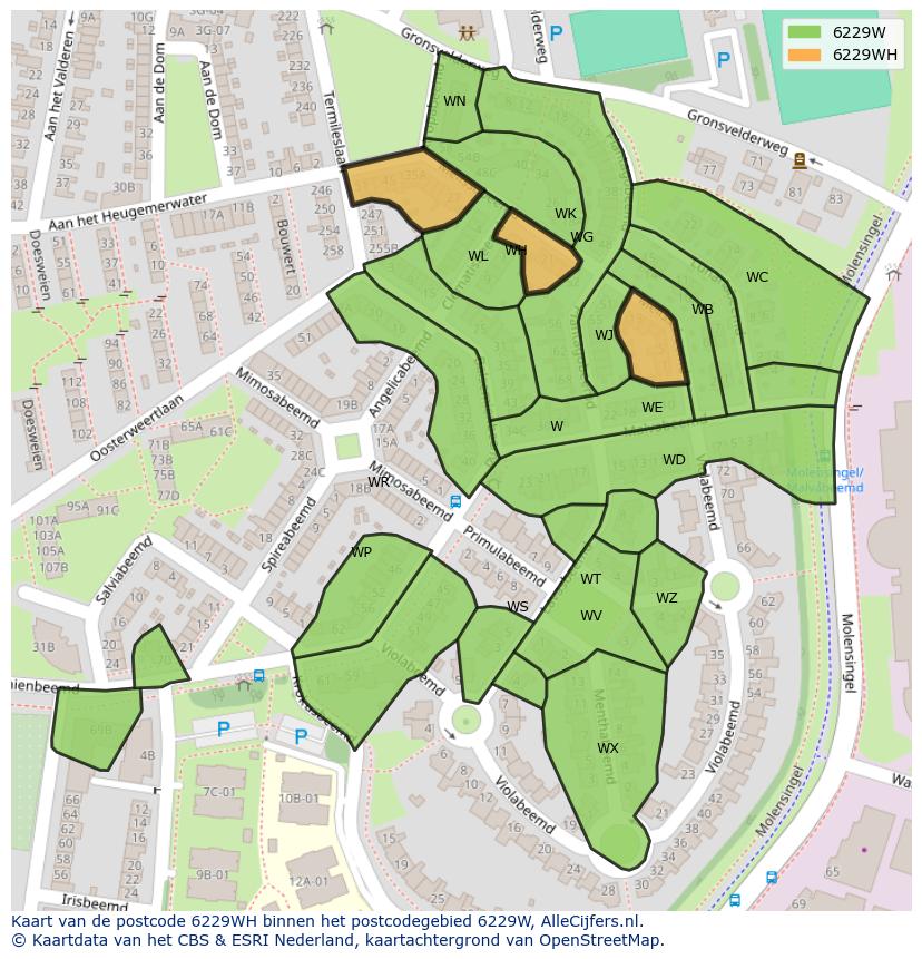 Afbeelding van het postcodegebied 6229 WH op de kaart.