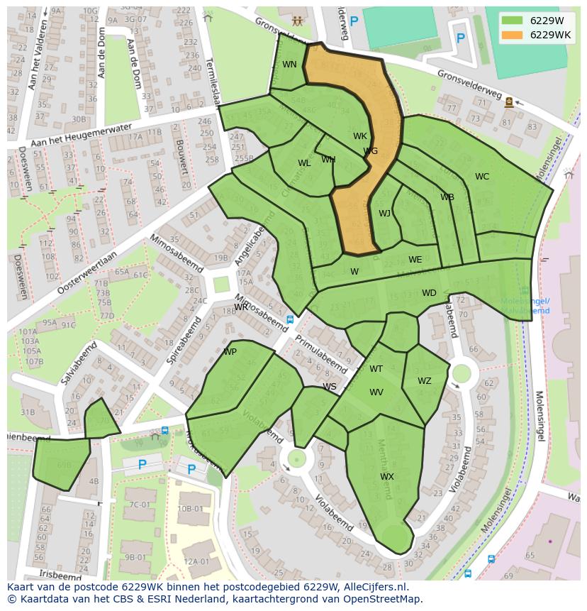 Afbeelding van het postcodegebied 6229 WK op de kaart.