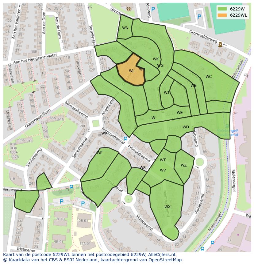 Afbeelding van het postcodegebied 6229 WL op de kaart.