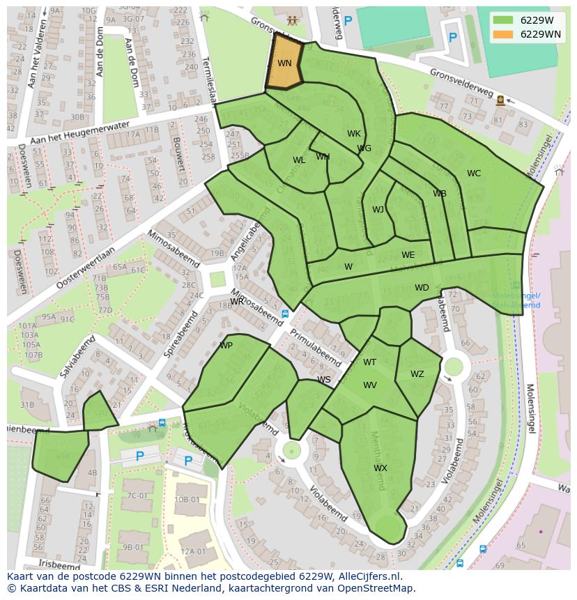 Afbeelding van het postcodegebied 6229 WN op de kaart.