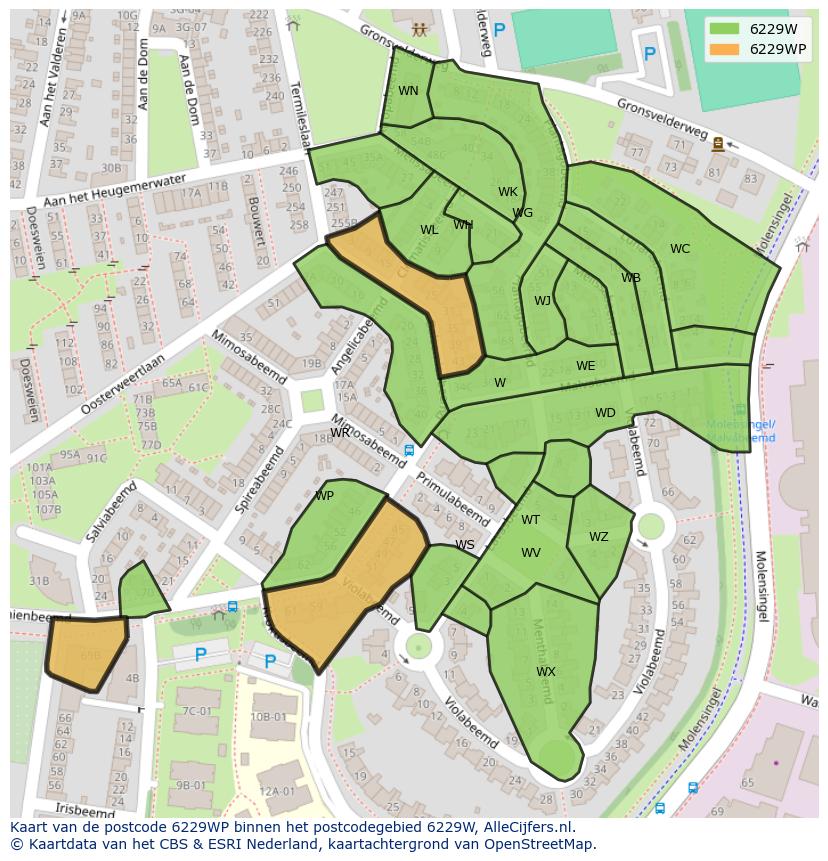 Afbeelding van het postcodegebied 6229 WP op de kaart.