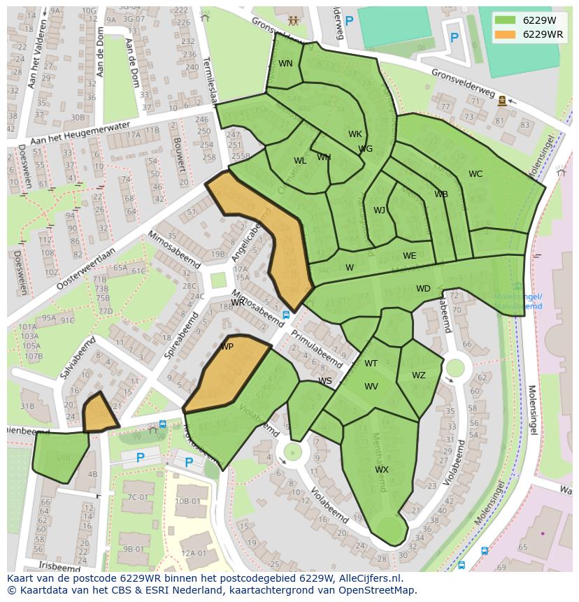Afbeelding van het postcodegebied 6229 WR op de kaart.