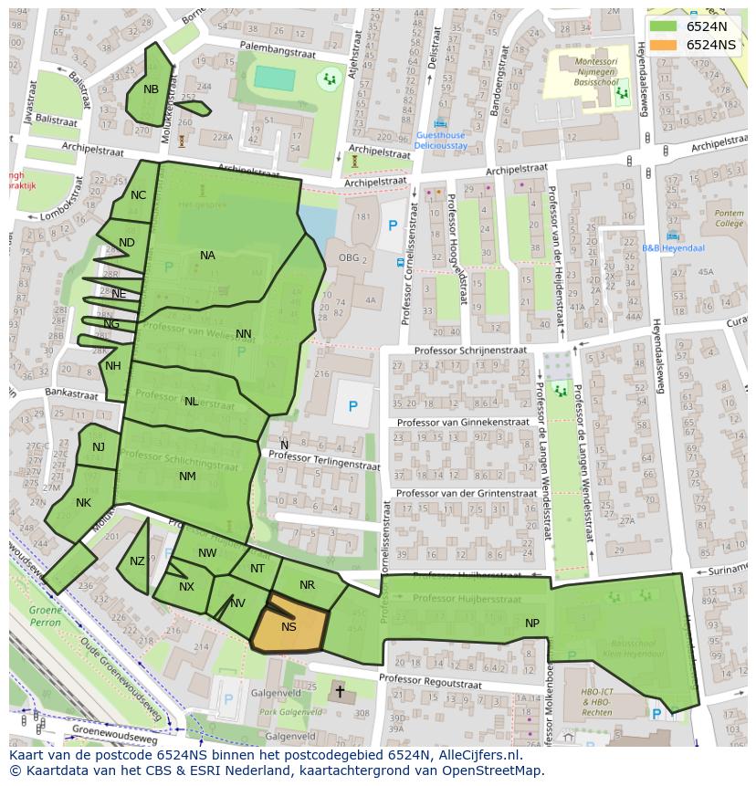 Afbeelding van het postcodegebied 6524 NS op de kaart.