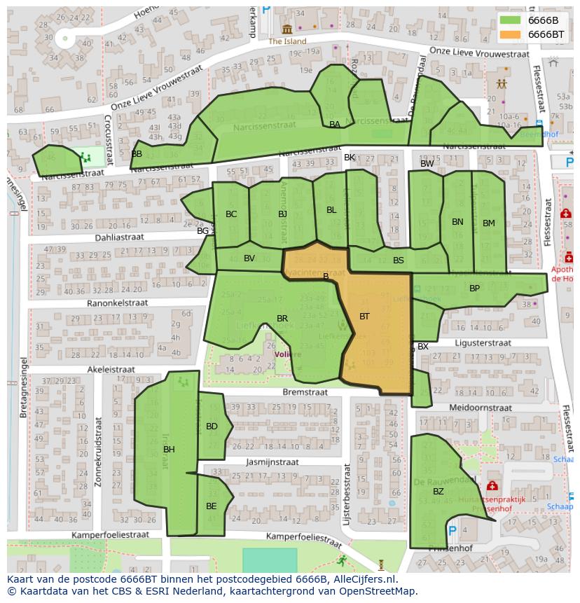 Afbeelding van het postcodegebied 6666 BT op de kaart.