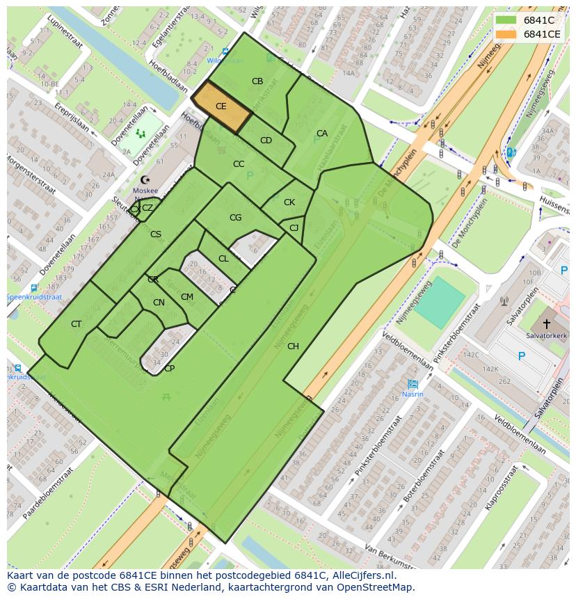 Afbeelding van het postcodegebied 6841 CE op de kaart.
