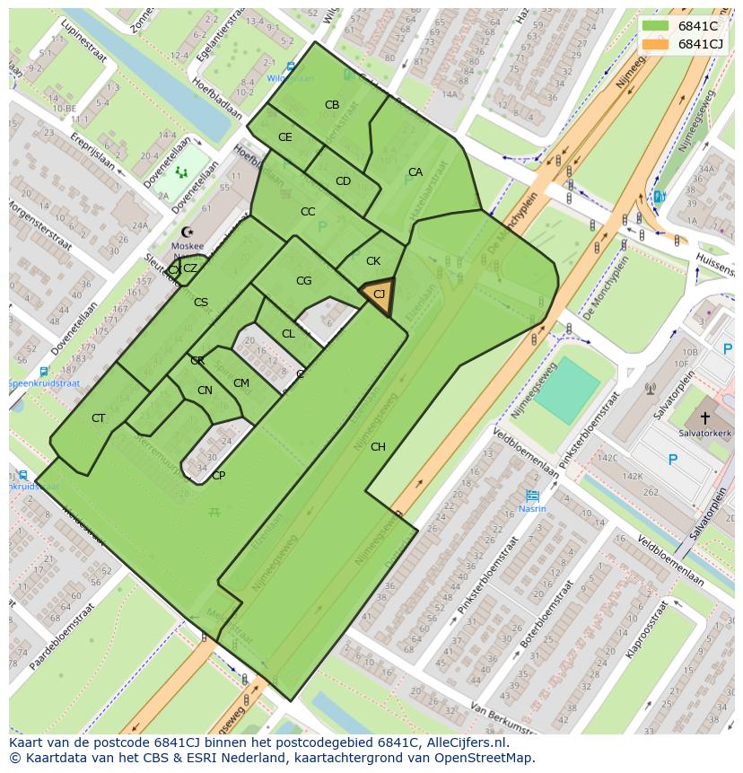 Afbeelding van het postcodegebied 6841 CJ op de kaart.