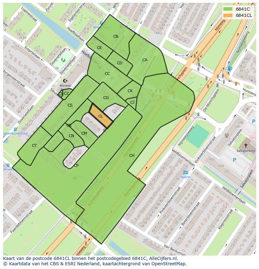 Afbeelding van het postcodegebied 6841 CL op de kaart.