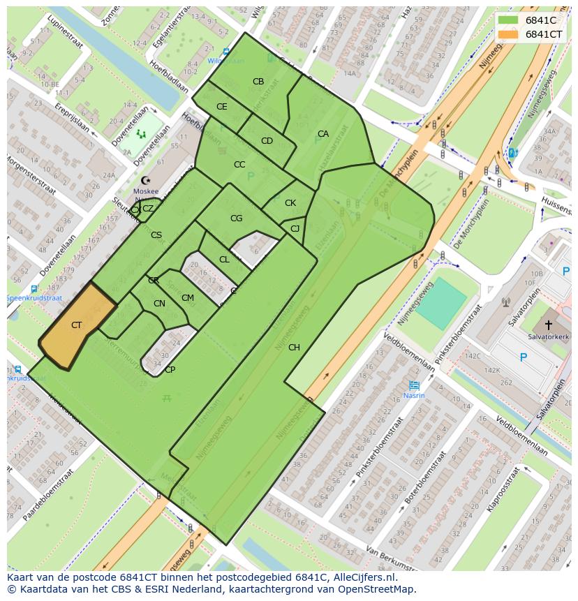 Afbeelding van het postcodegebied 6841 CT op de kaart.