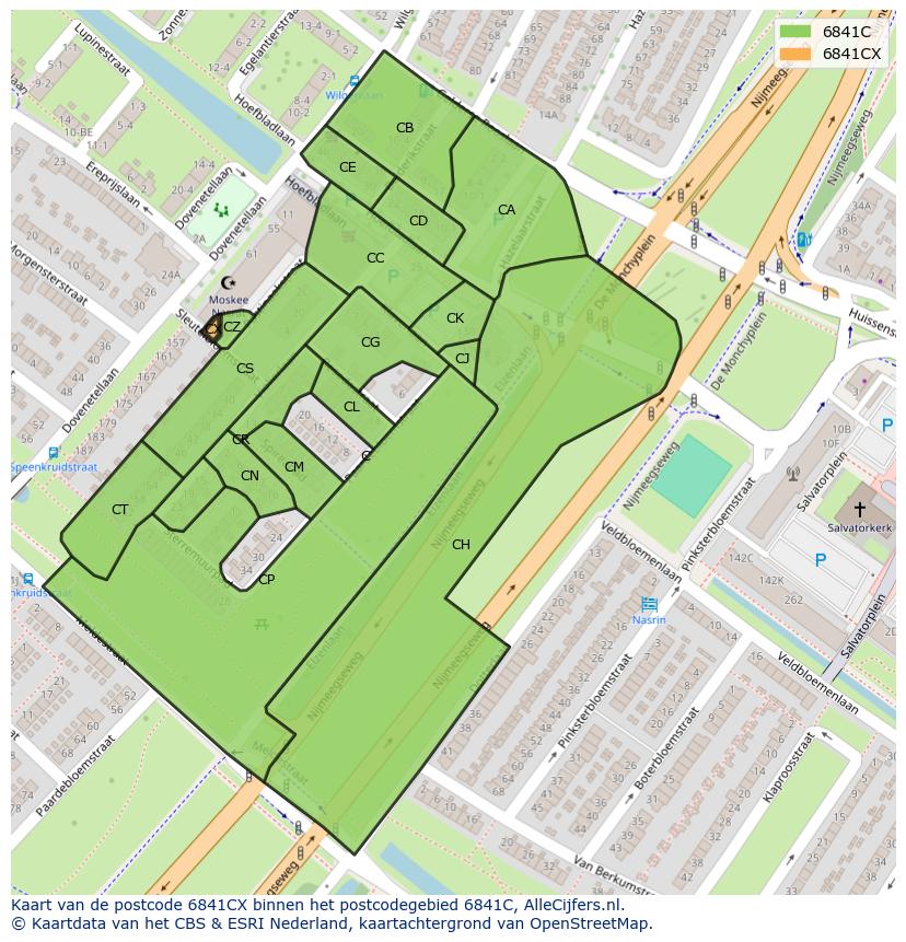 Afbeelding van het postcodegebied 6841 CX op de kaart.