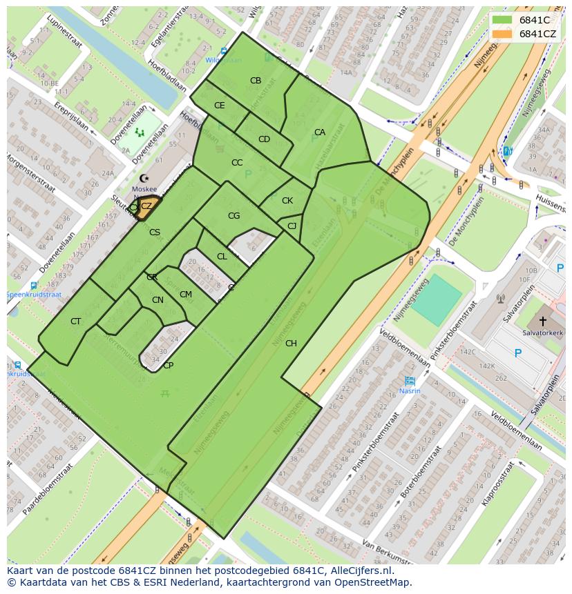 Afbeelding van het postcodegebied 6841 CZ op de kaart.