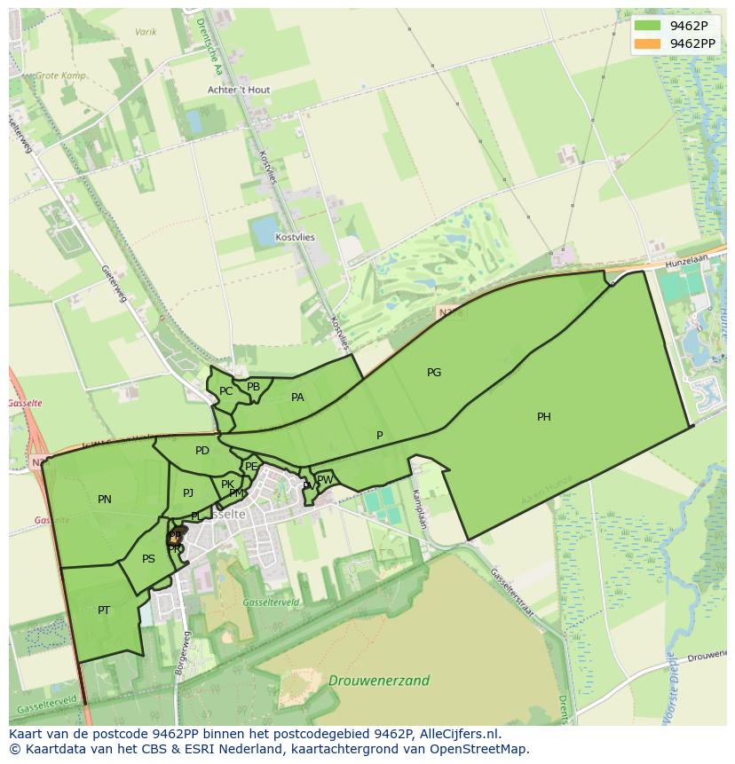 Afbeelding van het postcodegebied 9462 PP op de kaart.