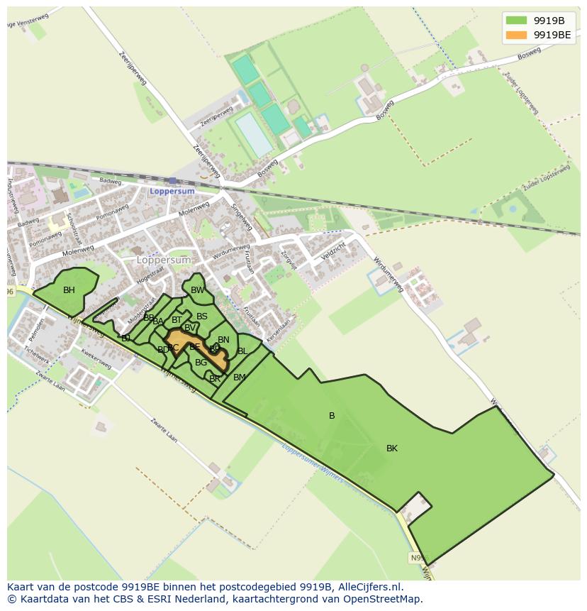 Afbeelding van het postcodegebied 9919 BE op de kaart.