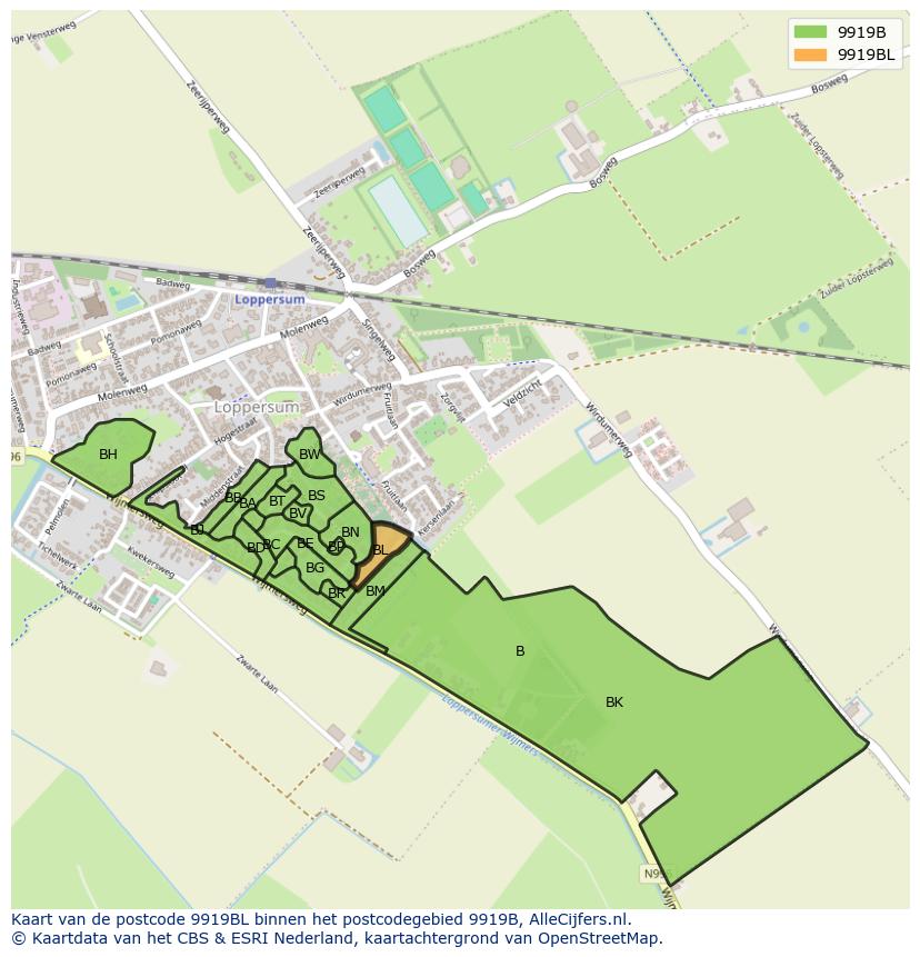 Afbeelding van het postcodegebied 9919 BL op de kaart.