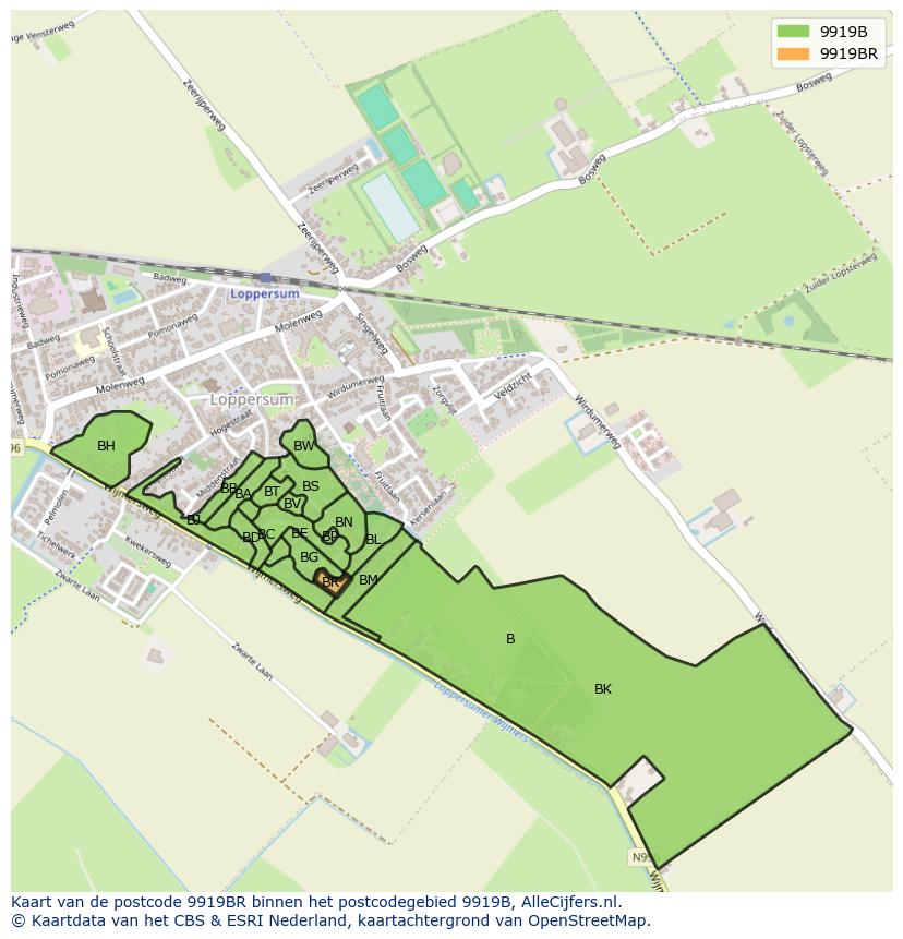 Afbeelding van het postcodegebied 9919 BR op de kaart.