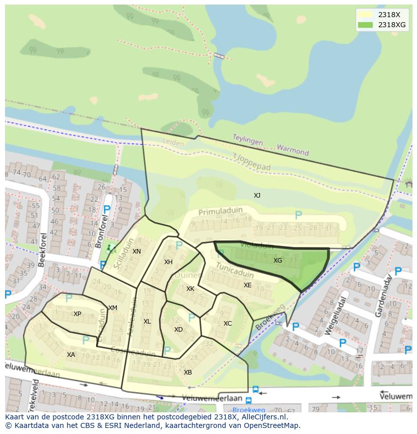 Afbeelding van het postcodegebied 2318 XG op de kaart.