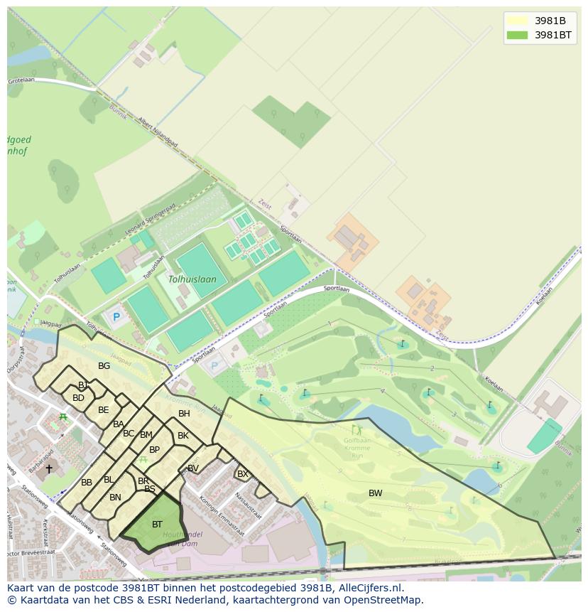 Afbeelding van het postcodegebied 3981 BT op de kaart.